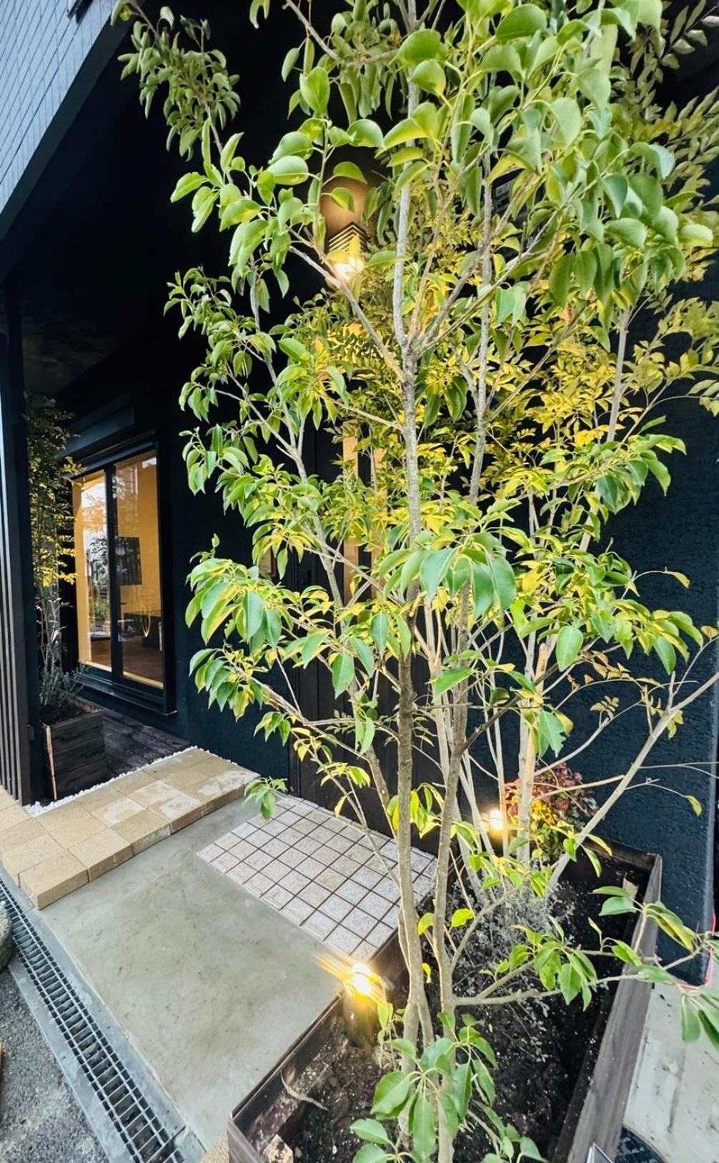 Tengachaya House Osaka Exterior photo